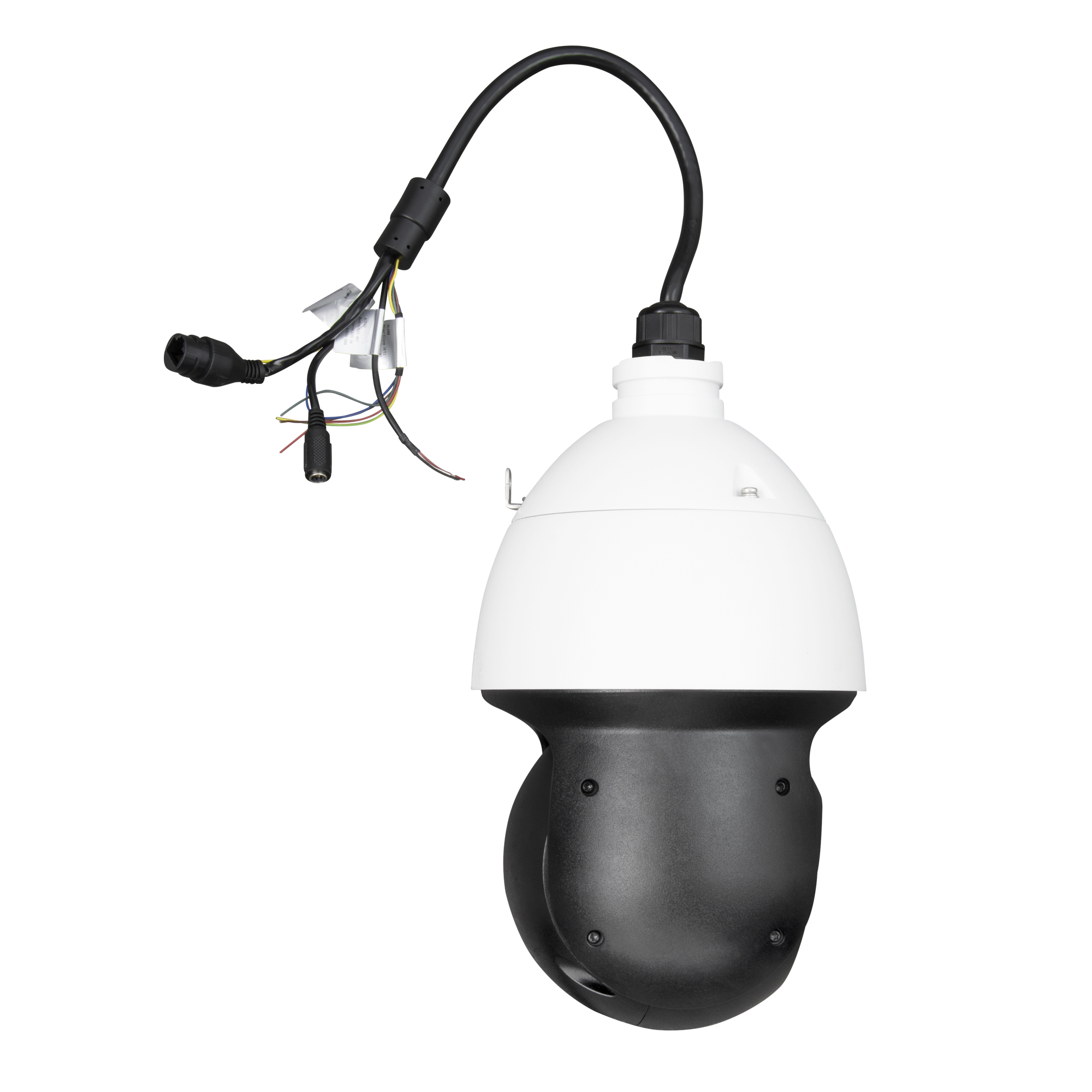 BCS-L-SIP2425SR10-Ai2 - obrazek 5