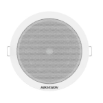 DS-QAE0203G1-V Głośnik analogowy