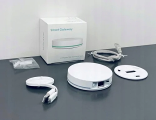 SNTZ015 Centralka Bramka ZigBee 3.0 Ethernet ZigBee