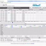 BIBI.PDP Podgląd raportów dla pracowników przez przeglądarkę internetową - opłata roczna