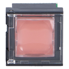 PVA-1EB Przycisk alarmowy stacji wywoławczej