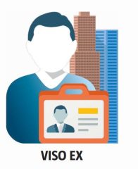 LIC-VISO-EX-PCA licencja na partycję dla VISO