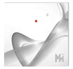 bibi-R41.J Czytnik kart Unique z frontem szklanym,MicroMade