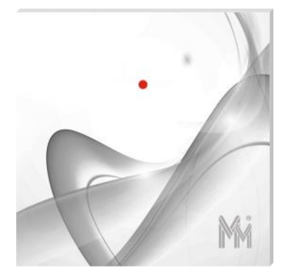 bibi-R41.J Czytnik kart Unique z frontem szklanym,MicroMade