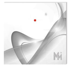 bibi-R51.J Czytnik transponderów Mifare z LCD, MicroMade